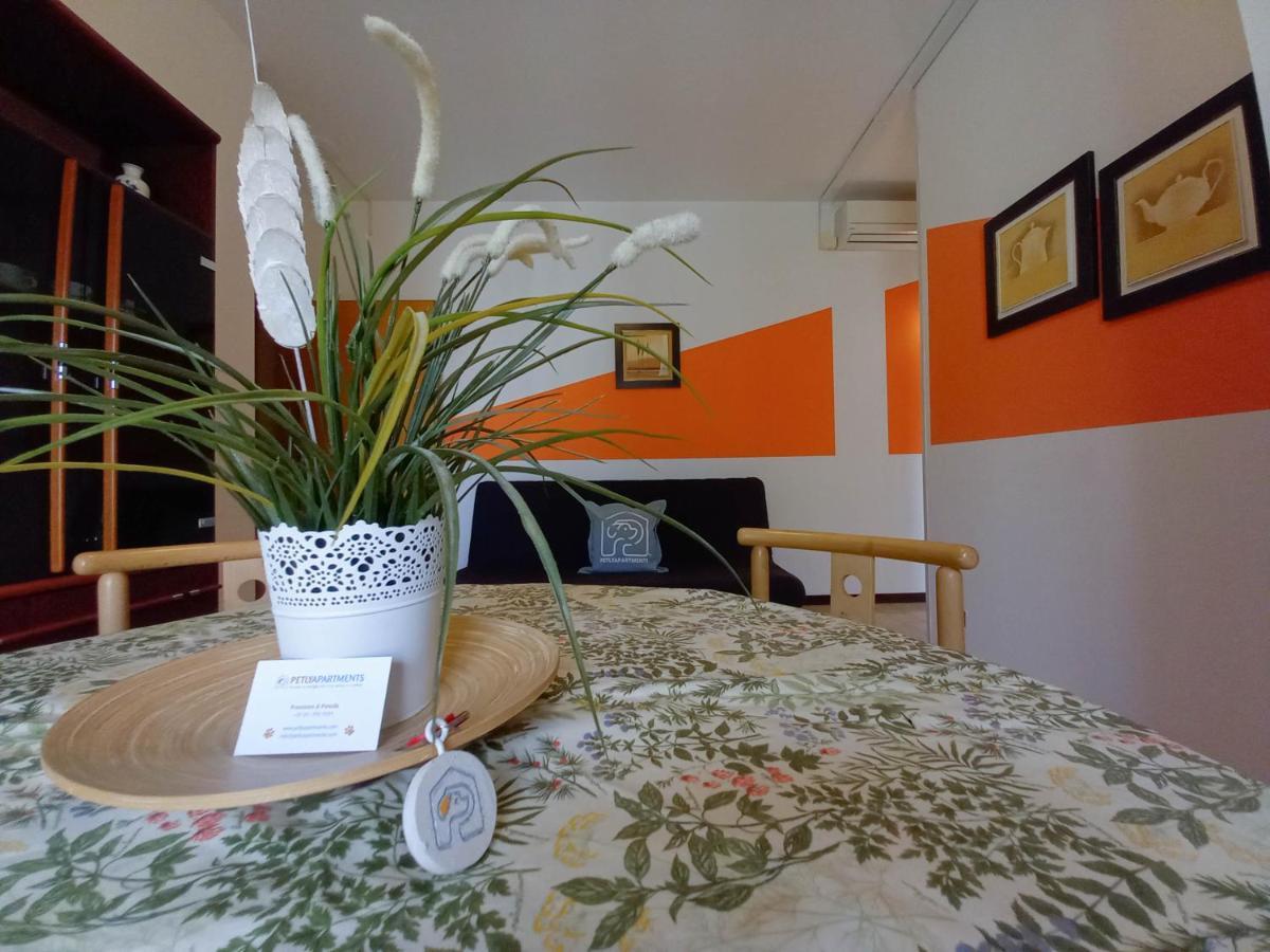 Petlyapartments Bellaria-Igea Marina Zewnętrze zdjęcie
